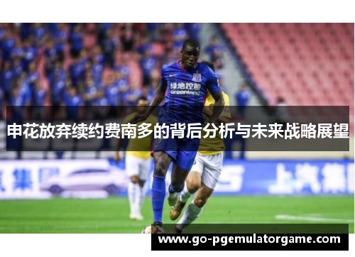 申花放弃续约费南多的背后分析与未来战略展望
