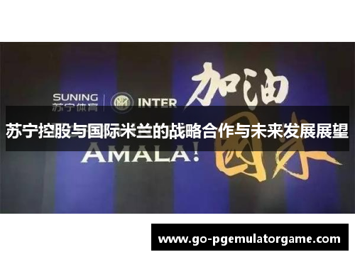 苏宁控股与国际米兰的战略合作与未来发展展望