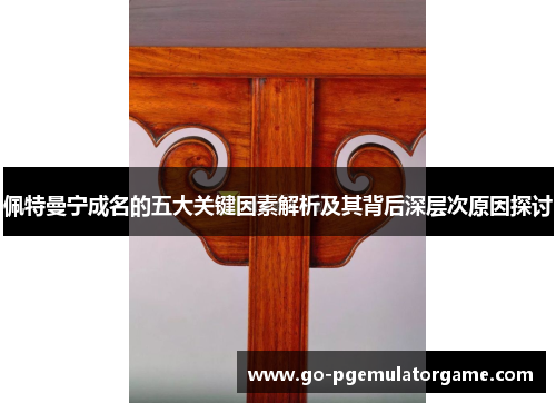 佩特曼宁成名的五大关键因素解析及其背后深层次原因探讨