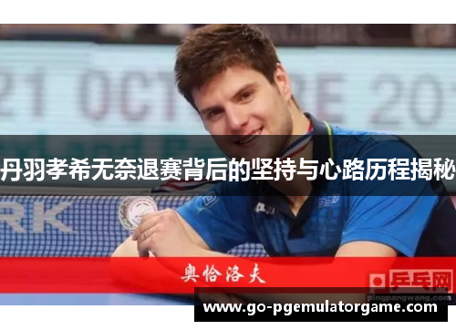 丹羽孝希无奈退赛背后的坚持与心路历程揭秘