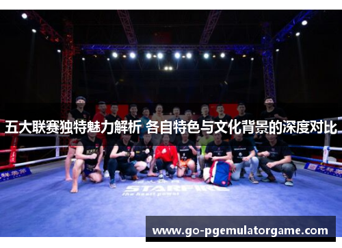 五大联赛独特魅力解析 各自特色与文化背景的深度对比 五大联赛独特魅力解析 各自特色与文化背景的深度对比