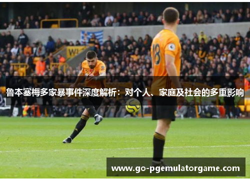 鲁本塞梅多家暴事件深度解析：对个人、家庭及社会的多重影响