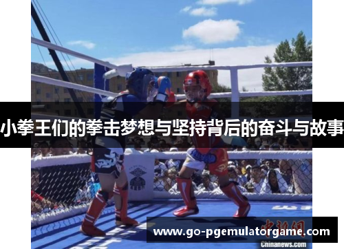 小拳王们的拳击梦想与坚持背后的奋斗与故事