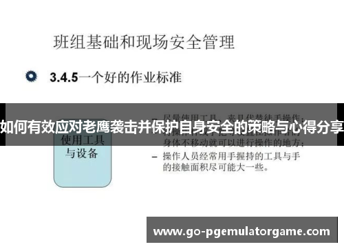 如何有效应对老鹰袭击并保护自身安全的策略与心得分享