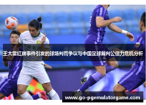 王大雷红牌事件引发的球场判罚争议与中国足球裁判公信力危机分析