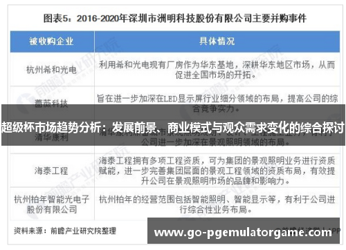 超级杯市场趋势分析：发展前景、商业模式与观众需求变化的综合探讨